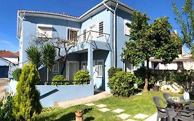 Casa Milheiro - Sunny Garden In Porto